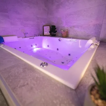 Appartement Lova Saint-etienne Saint-Etienne (Loire)