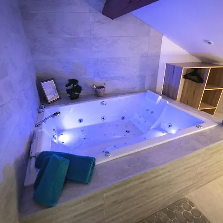 Appartement Lova Saint-etienne *